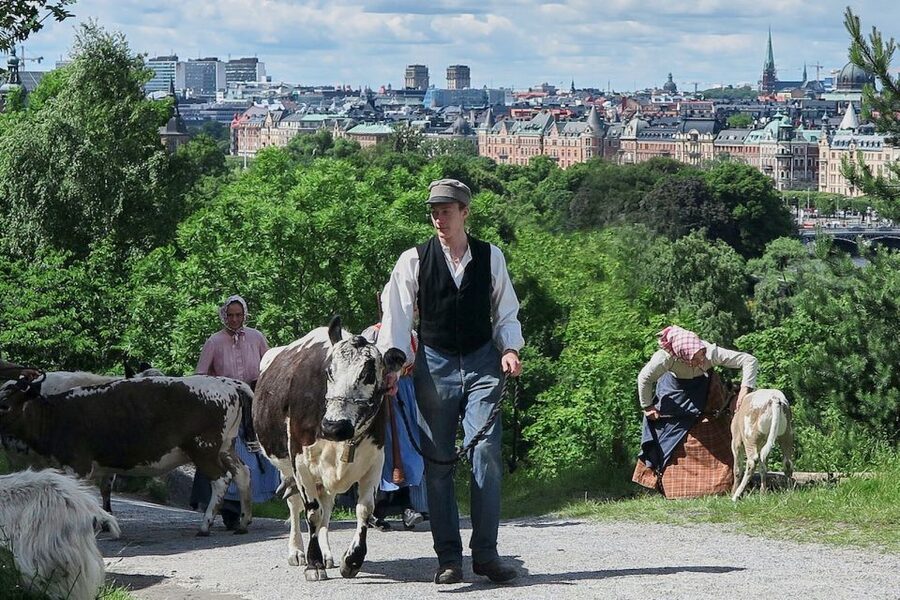 Stockholm: Skansen Open-Air Museum Admission Ticket - Key Takeaways Before You Go