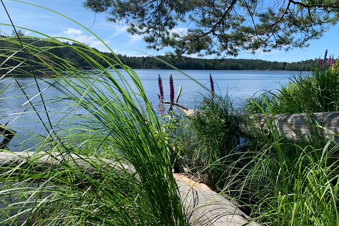 Stockholm: Sunset Hike in Tyresta National Park with Meal - Key things to know before you go