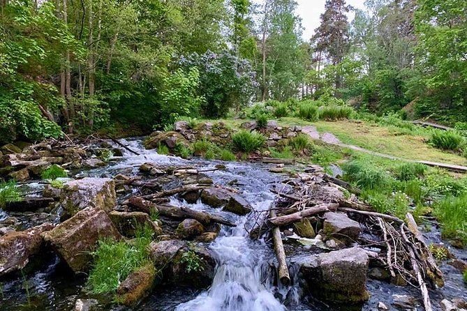 Stockholm: Sunset Hike in Tyresta National Park with Meal - The main hike in Tyresta: walking when the light shifts