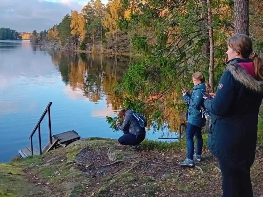 Stockholm: Sunset Hike in Tyresta National Park with Meal - Lakeside break and Swedish Midsummer meal: why it works at sunset