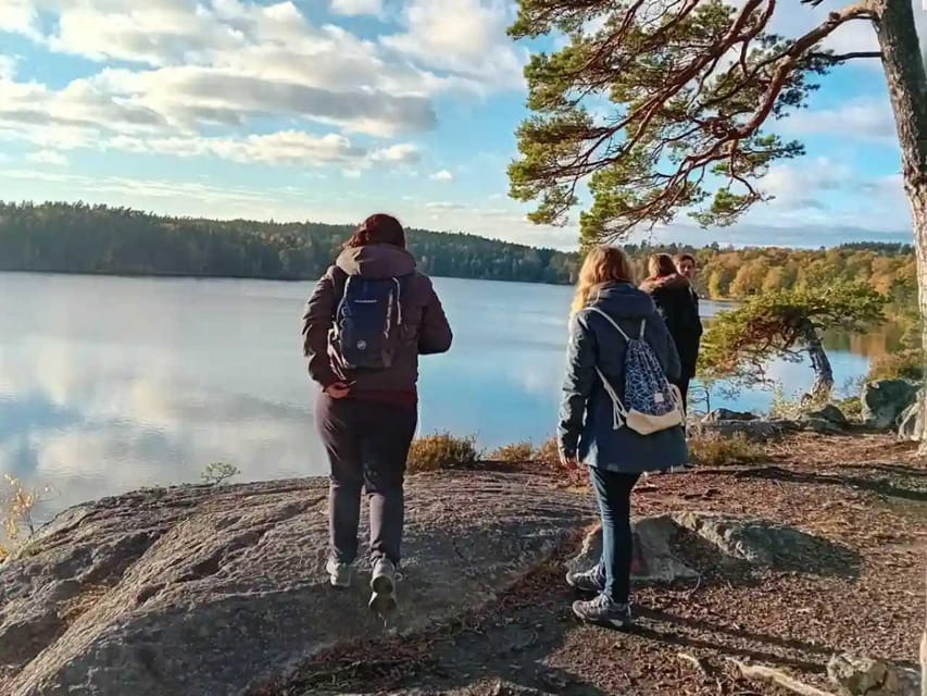 Stockholm: Sunset Hike in Tyresta National Park with Meal - Wildlife odds at dusk: what you can do (and what you can’t)