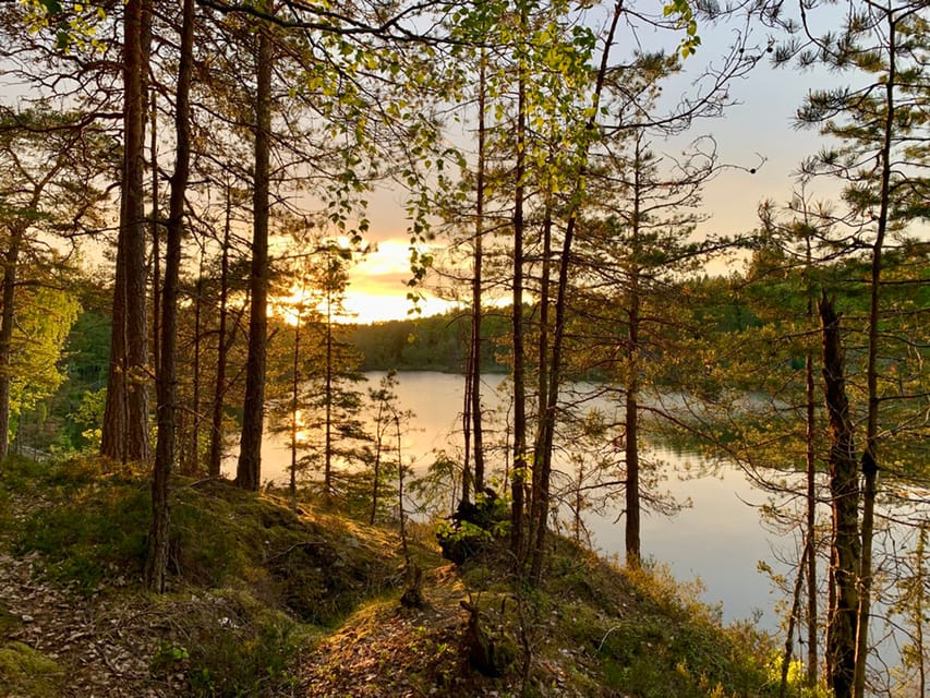 Stockholm: Sunset Hike in Tyresta National Park with Meal - Weather reality in Sweden: rain, cold, and what to pack