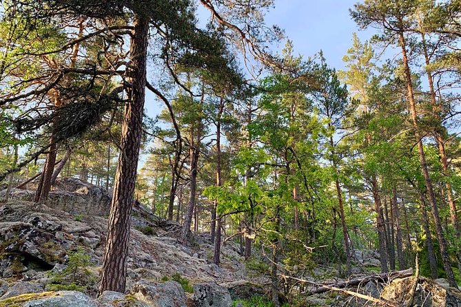 Stockholm: Sunset Hike in Tyresta National Park with Meal - From Gullmarsplan to the forest: how the timing really works