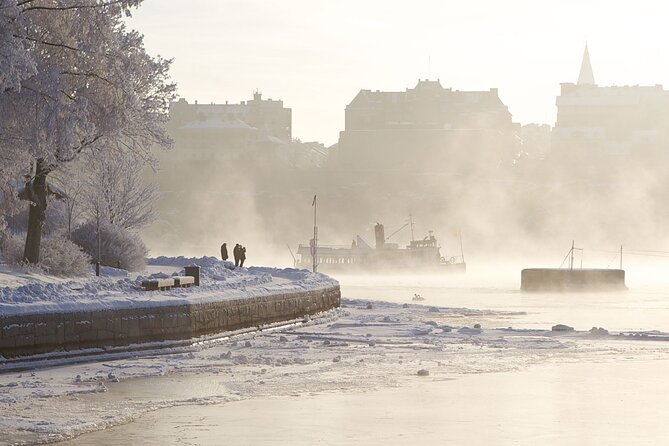 Stockholm Winter Boat Tour with Guide - Key highlights worth your attention