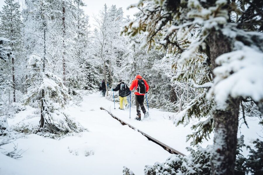 Stockholm: Winter Snowshoe Full-Day Hike - Who this snowshoe hike suits best