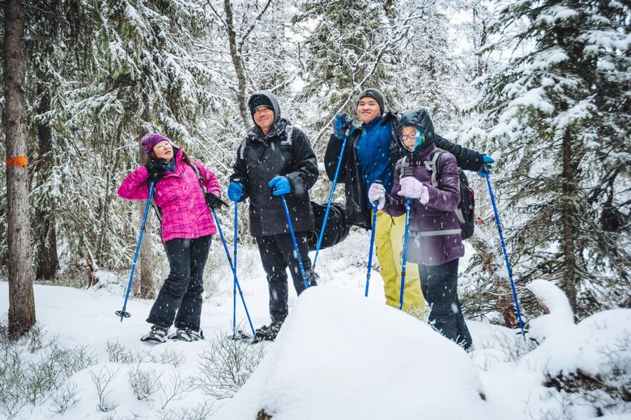 Stockholm: Winter Snowshoe Full-Day Hike - Winter snowshoeing that starts close to the action