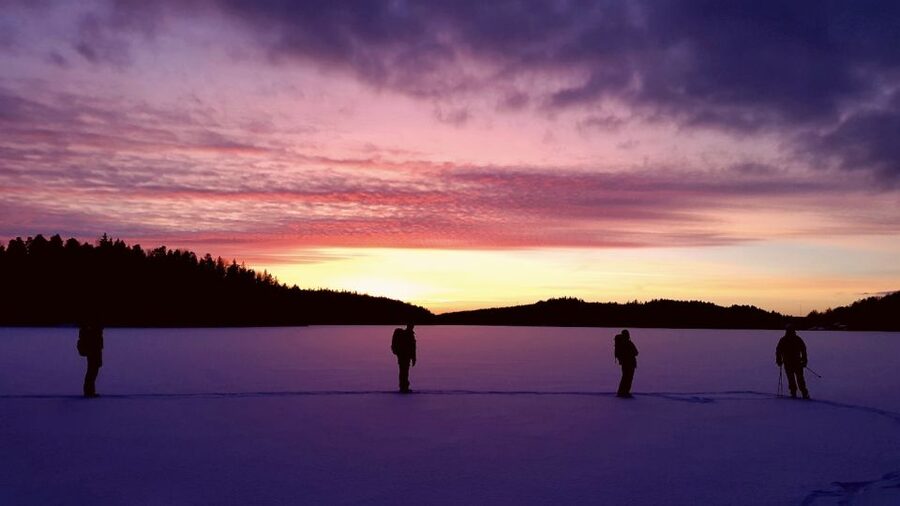 Stockholm: Winter Snowshoe Full-Day Hike - How the guides shape the experience (and why you’ll feel included)