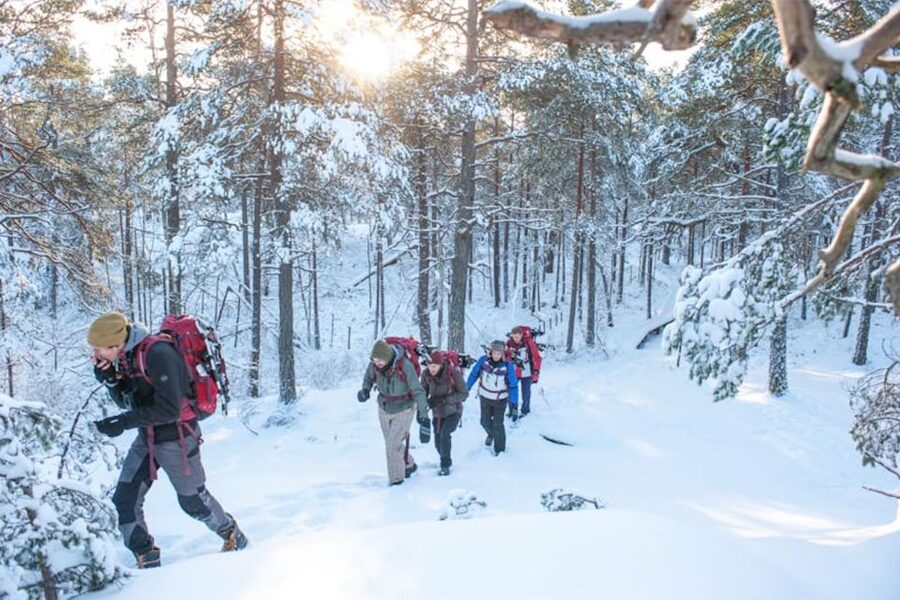 Stockholm: Winter Snowshoe Full-Day Hike - Getting your gear right: snowshoes, ice grips, and dry-bag sanity