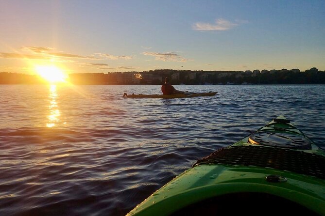 Sunset Kayak Tour in Central Stockholm and Swedish Fika - First-Timers, Dock Climbing, and Families: Who This Suits Best