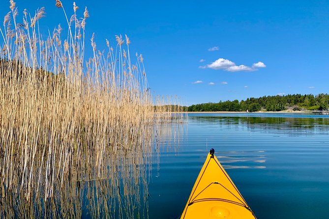 Sunset Kayak Tour in the Stockholm Archipelago + Swedish Fika - Booking timing: why you should plan ahead