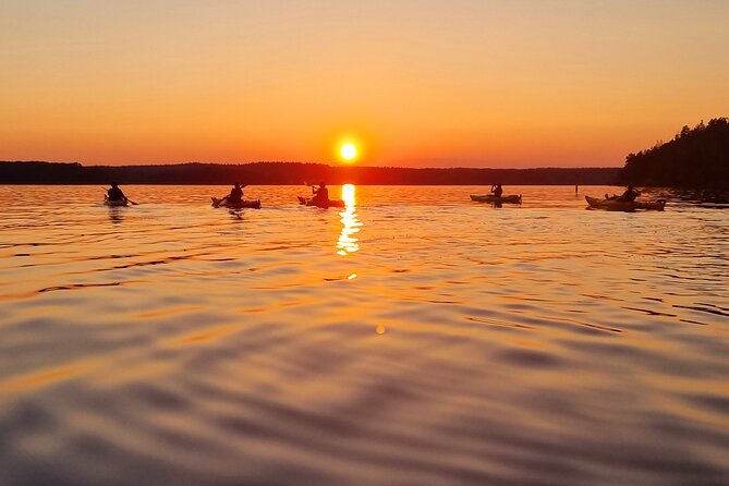 Sunset kayak tour with fika on Stockholms lakeside - Key Highlights You’ll Actually Care About
