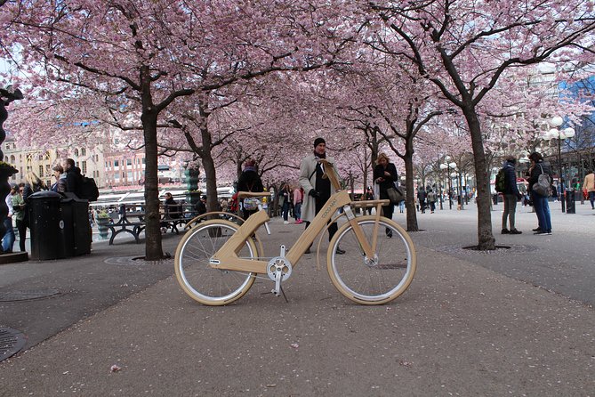 The Wooden Bicycle Tour in Stockholm - Price and value: how $58.08 stacks up