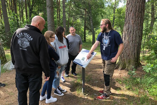 Viking History Small Group Tour from Stockholm: Half Day Including Sigtuna - Arkils tingstad: imagining the Viking parliament moment