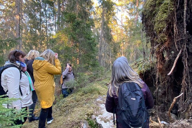 Wolf and Wildlife Tracking in Sweden - Where Wolf Tracking Fits Into Stockholm Touring